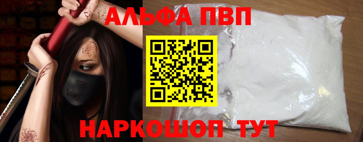A PVP СК Фрязино